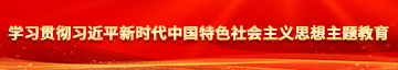 大黑鸡巴超逼片美国学习贯彻习近平新时代中国特色社会主义思想主题教育
