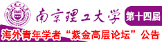 无码操逼南京理工大学第十四届海外青年学者紫金论坛诚邀海内外英才！